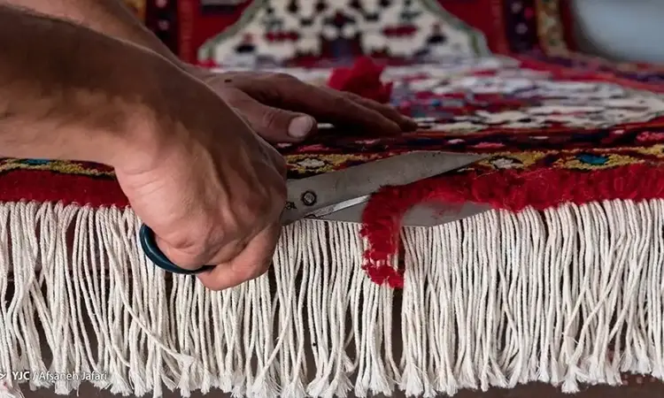 ریشه زنی فرش در قالیشویی توانیر